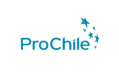 ProChile Logo ProChile Logo